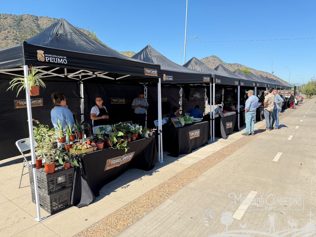 Primer Encuentro del Mercado Campesino en Peumo
