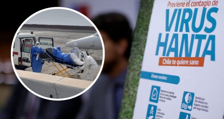 Minsal descarta que contagios de hantavirus en crucero se hayan originado en Chile